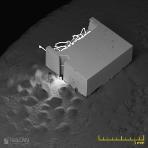 Blick auf eine MEMS Probe (WideField Modus)