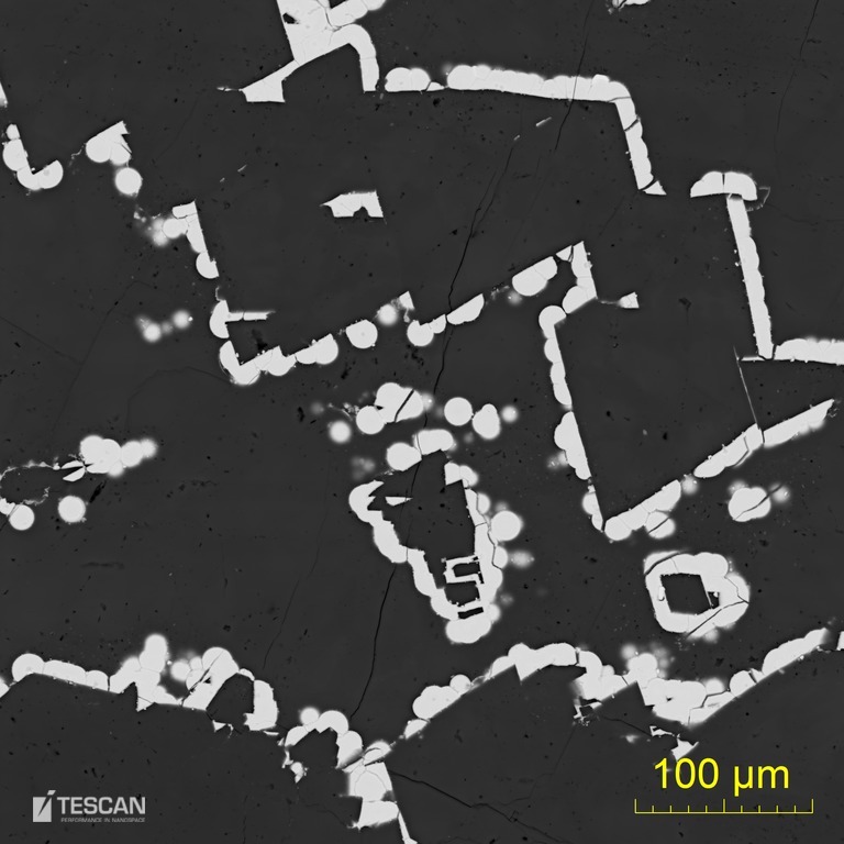 Uraninite crust (light) in calcite gangue (dark)