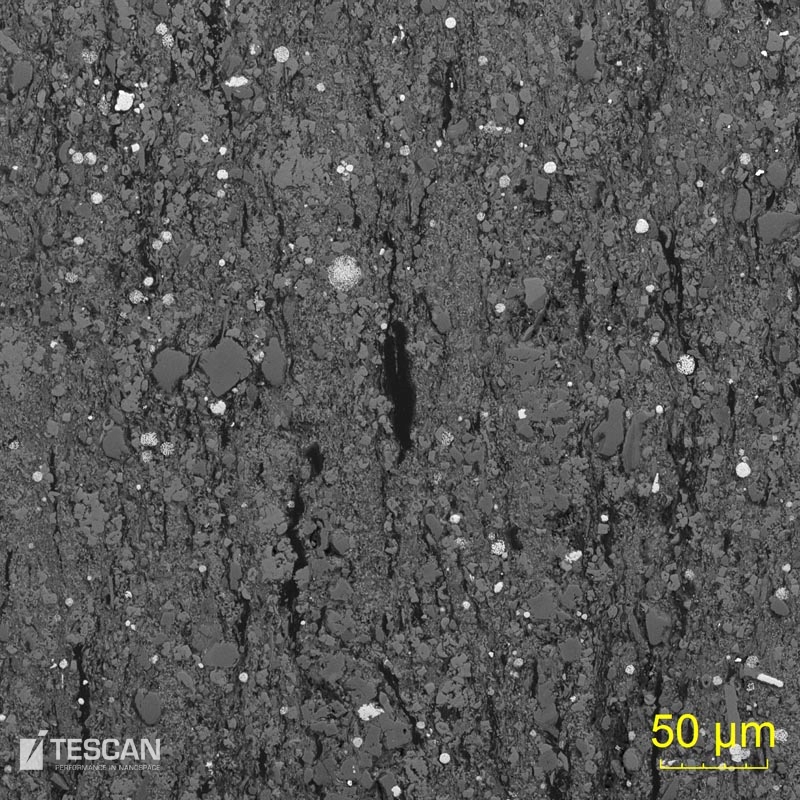 Section through a shale sample