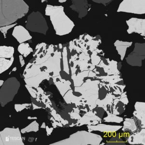 Tantalite grain complexly intergrown by muscovite