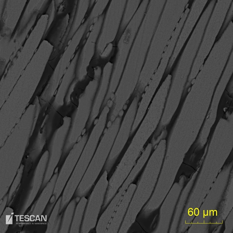 Clay particles aglomerate in coal