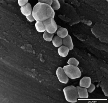 Powder-Nanoparticles imaged at different magnifications