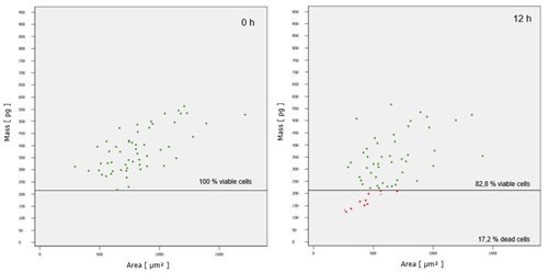 Cells with small area and dry mass below the determined mass limit (220 pg) are considered dead (red dots).