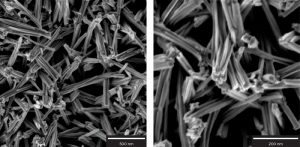 The particles of sodium nitrate crystals synthesized by hydrothermal treatment of titanium substrate in sodium hydroxide solution under nitrogen 