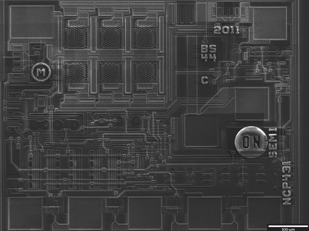 The final high resolution panorama image consisting of 527 single images provides a very detailed overview of the entire die