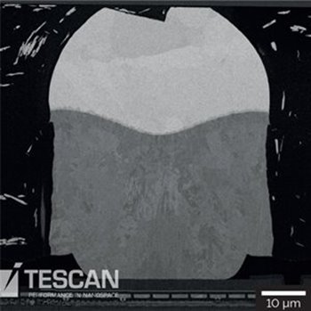 Overview of the Cu pillar imaged at 5 keV with the Low-Energy BSE (LEBSE) detector showing strong material contrast between SnAg, Ni, Cu and the Si substrate