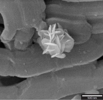 Mesostructured silicon oxide