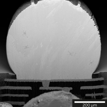 630 μm-diameter solder ball cross-sectioned using a Si mask for artefact-free surface.