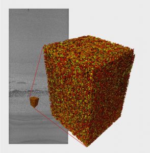 TURBIDITE SEDIMENT CORE, Non-destructive evaluationof grain size