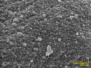 Polymer microfibers with silver nanoparticles 