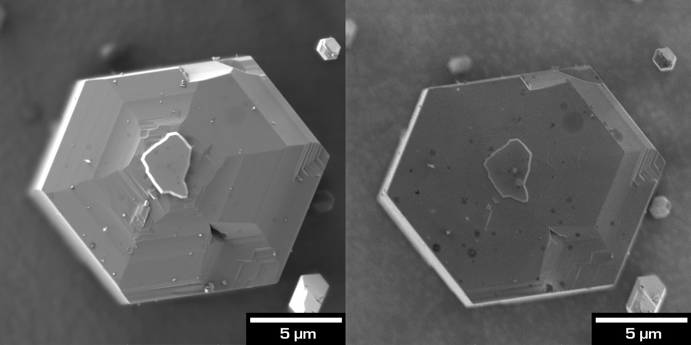 Plan-views of GaN nanowires with InGaN quantum wells. Different BSE contrast acquired at beam energy of 2 keV with (left) the E-T detector for topographic contrast and (right) the Multidetector with grid ON set at -1.9 kV which filters out most of the bulk BSE revealing surface features that are not visible to other detectors.