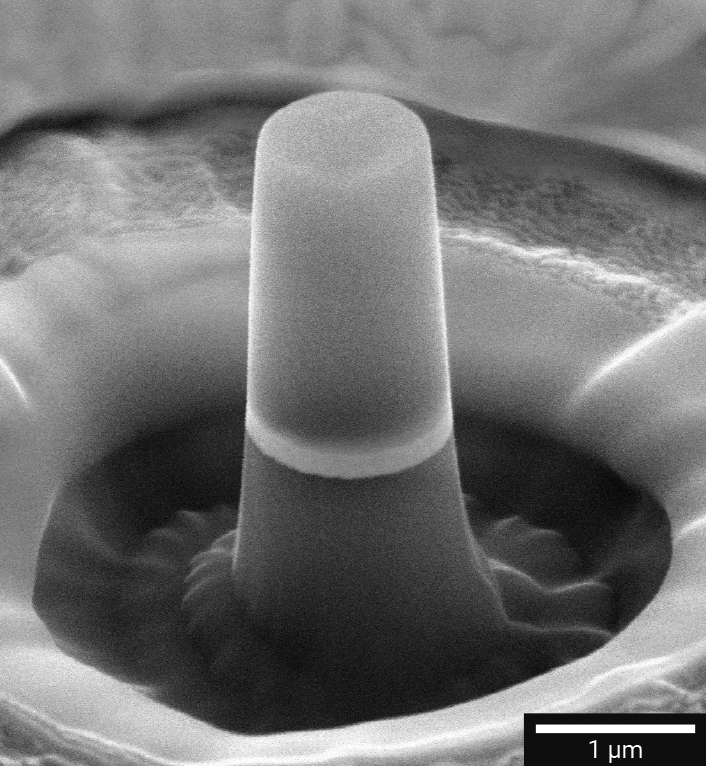 Micropillar for mechanical testing. Image taken from the TESCAN Materials Science brochure.