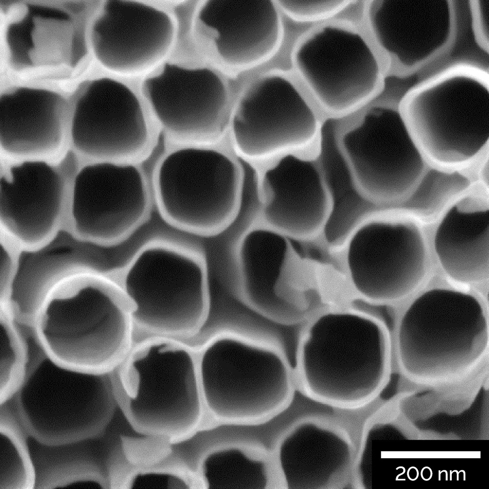 Ti Nanotubes
