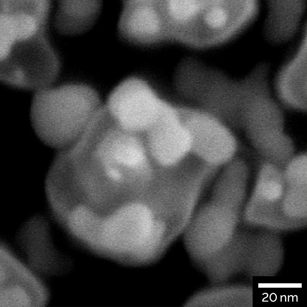 Black Si with Au nanoparticles