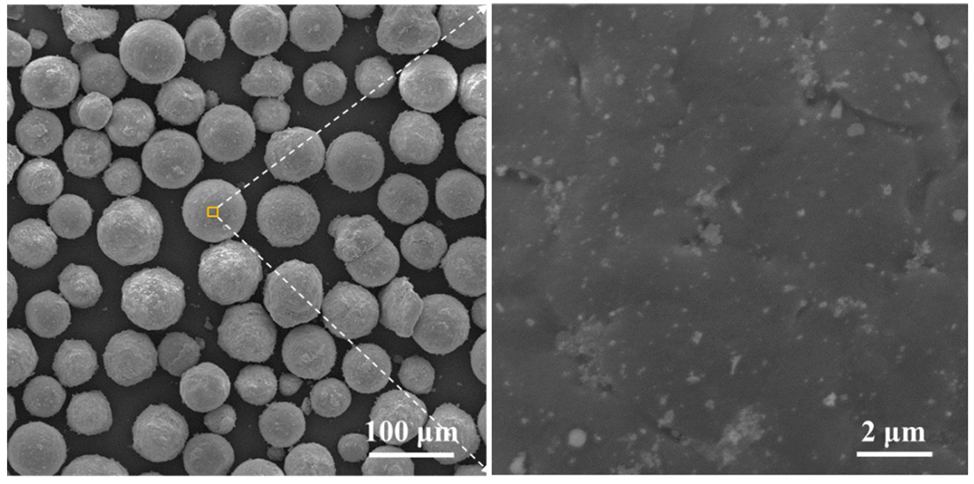SEM image of the Mg-3Zn/5HA mixed powder and an enlarged view of marked area.