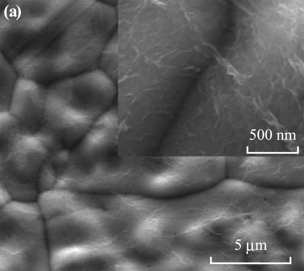 Top-view SEM images of a rGO/NF.