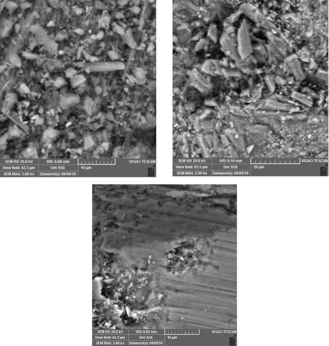 SEM image of the surface of the sample.