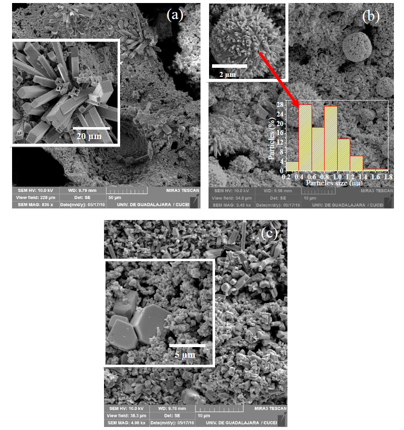 SEM images to magnifications: (a) 836X, (b) 3.48kX, and (c) 4.98kX; inset in Fig. (b) microrods’ particle-size distribution.