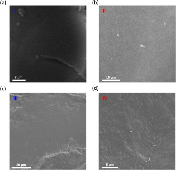 SEM images of the four domains. (a) Magnified image of a typical ridge (I) region. (b) Magnified image of a trough (II) region. (c) Magnified image of a crescent (III). (d) Magnified image of the base (IV) belonging to the rough region.