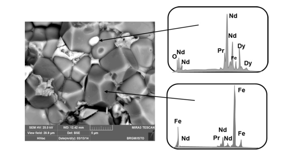 SE image of a HDD magnet sample and EDS spectra at the pointed locations.