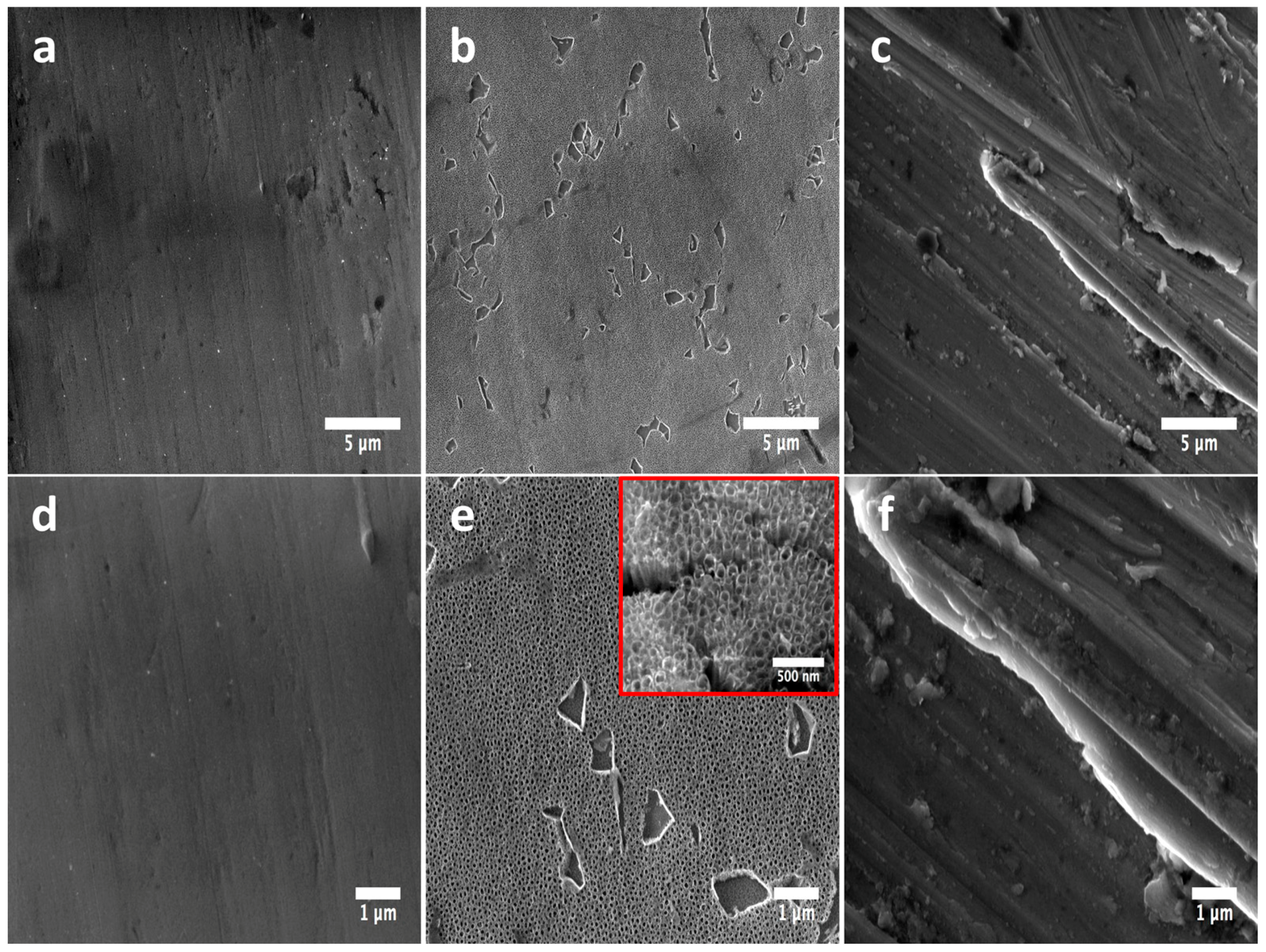 FE-SEM micrographs illustrating the surface morphology of the experimental materials.