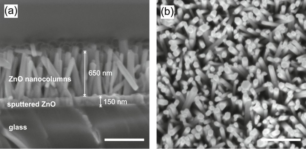 Cross-sectional (a) and top (b) view of densely packed ZnO NCs grown at 90 °C for 180 min (scale bar: 500 nm).