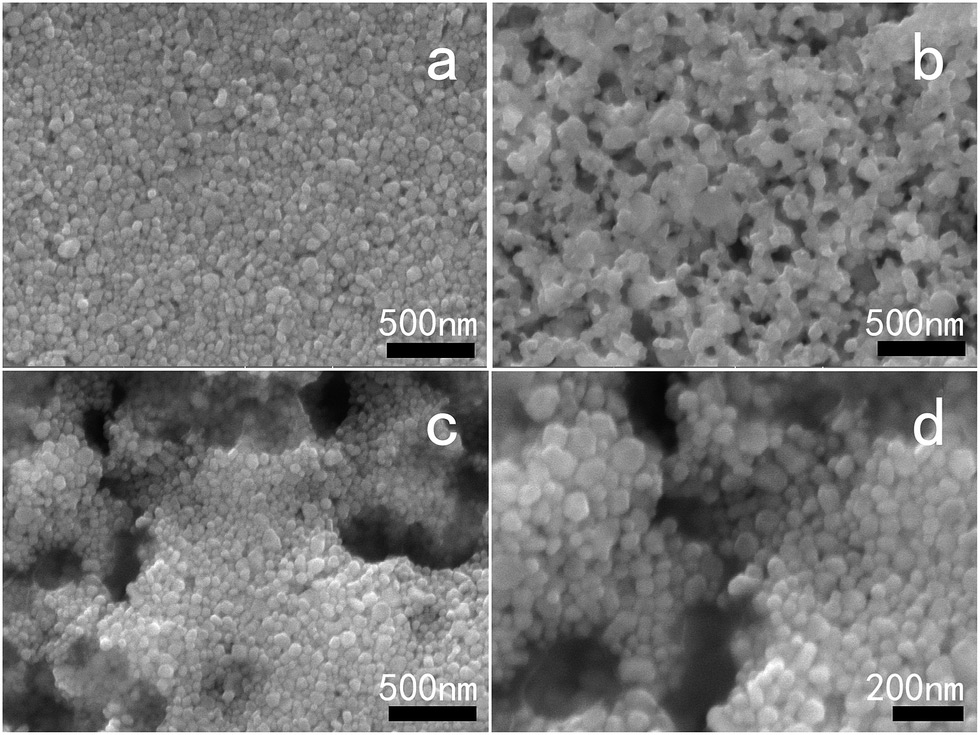 SEM images of the AgNHPs and GE–AgNHPs inks with different GE contents after sintering.