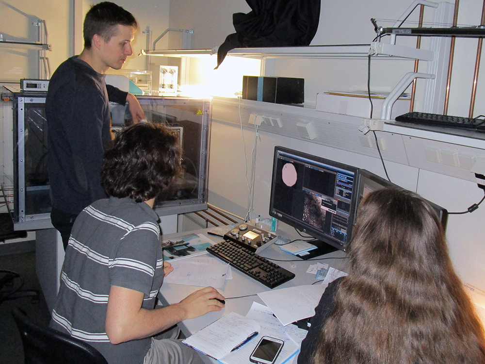 Workshop with TESCAN Q-PHASE specialists in Dresden
