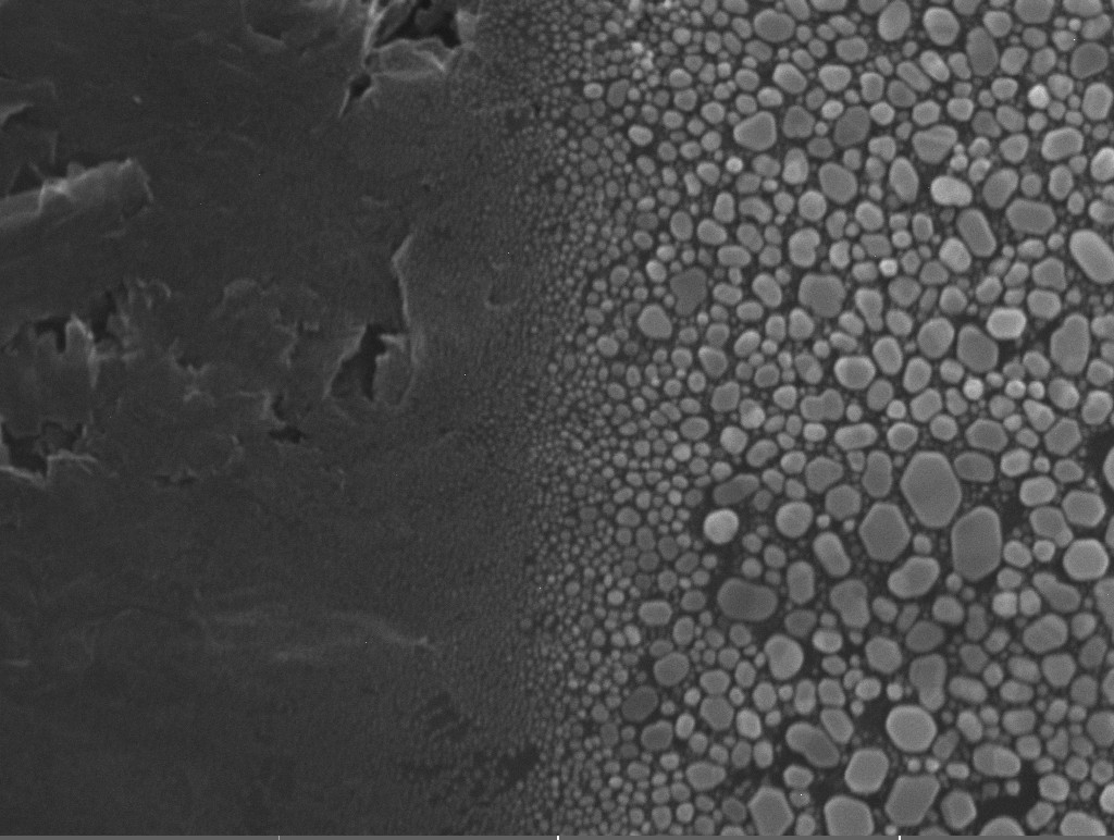 Gold on carbon: A gold-on-carbon test specimen