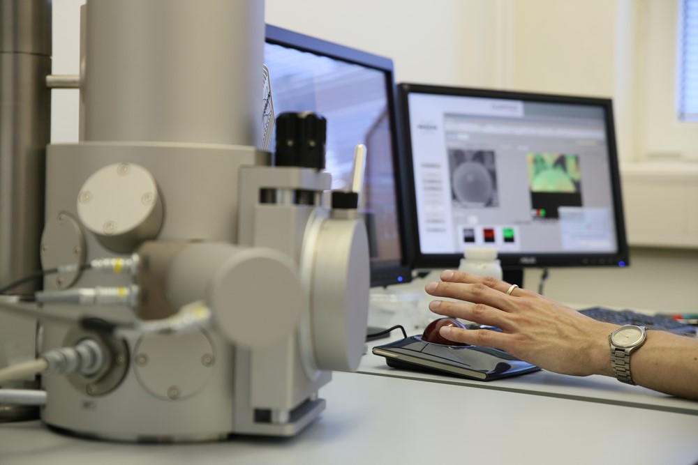 Performing diverse sample analyses: SE imaging for size and shape characterisation and EDS microanalysis for chemical characterisation and coating quality control