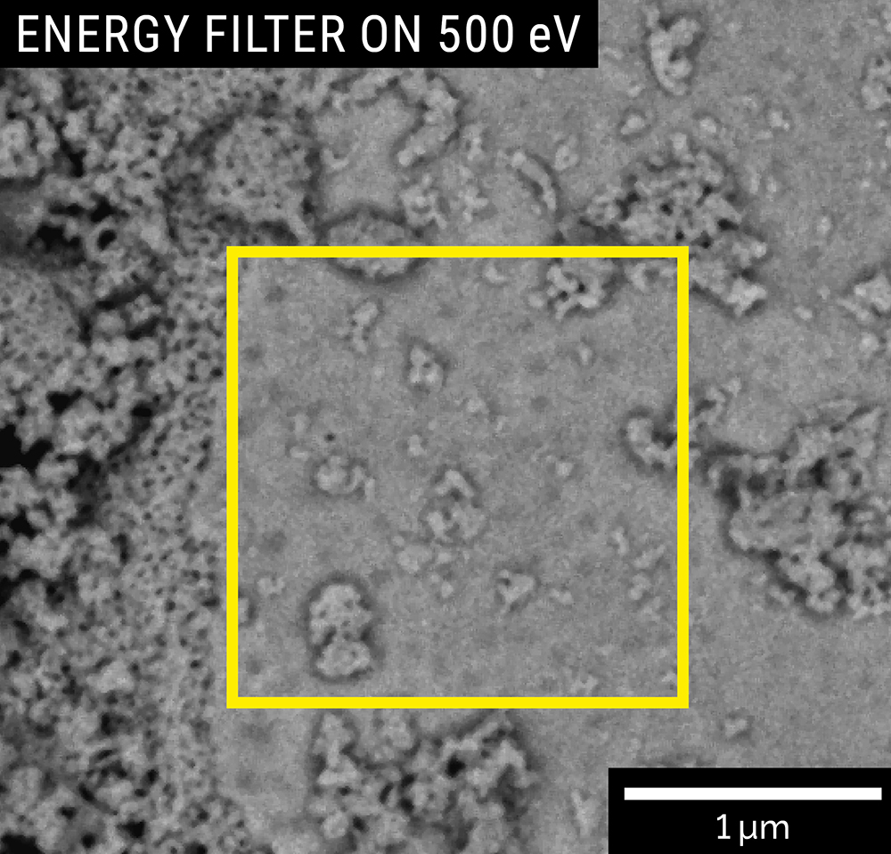 BSE image of sintered powder captured with the multidetector filter at 500 eV (left) and at 3500 eV (right); Landing energy: 4 keV. The nanoparticles located on the surface of the powder are clearly visible using the energy filter at 3500 eV