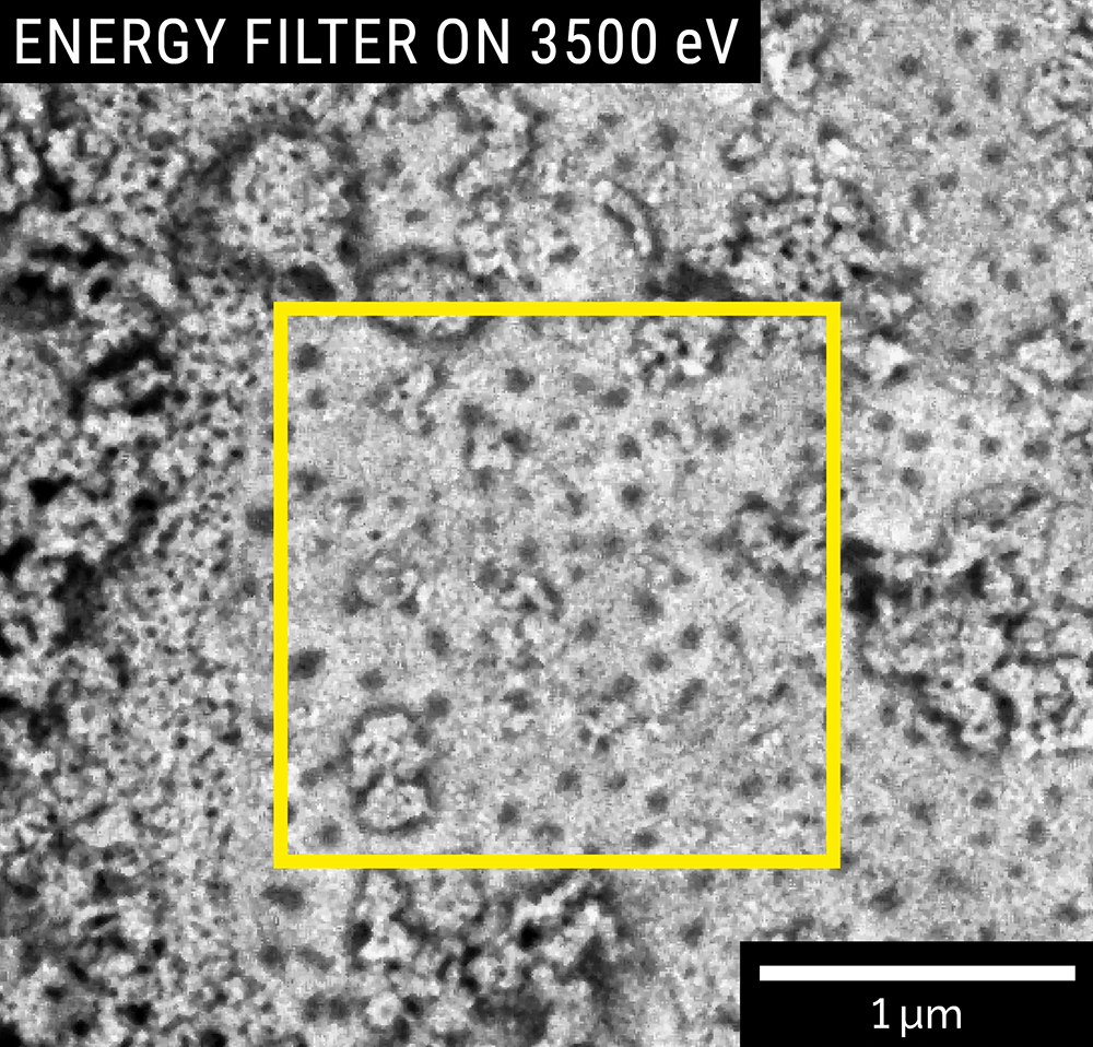 BSE image of sintered powder captured with the multidetector filter at 500 eV (left) and at 3500 eV (right); Landing energy: 4 keV. The nanoparticles located on the surface of the powder are clearly visible using the energy filter at 3500 eV
