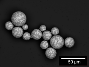 Powder used in soldering paste. The BSE detector
image shows material contrast on the two solder
phases with different composition.